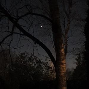 Annelies 01 In Putten ook nog gevangen